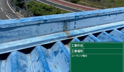 愛知県春日井市 S社様の屋根塗装・補修工事